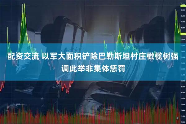 配资交流 以军大面积铲除巴勒斯坦村庄橄榄树强调此举非集体惩罚