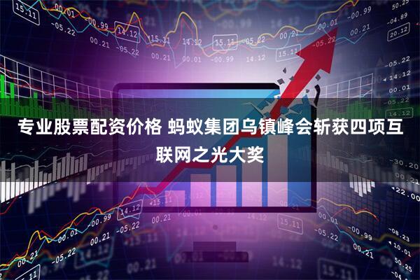 专业股票配资价格 蚂蚁集团乌镇峰会斩获四项互联网之光大奖